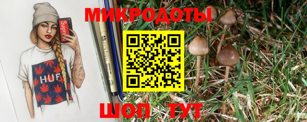Галлюциногенные грибы GOLDEN TEACHER Ишим