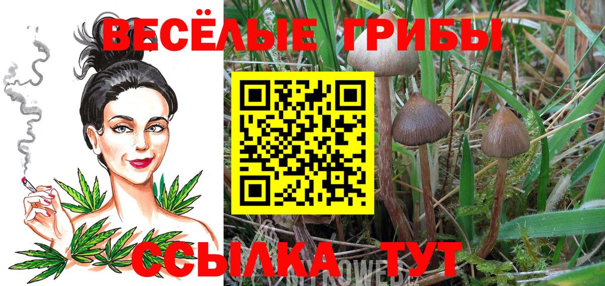 Ишим  Галлюциногенные грибы Cubensis  купить наркоту  Псилоцибиновые грибы Psilocybe  Вход с VPN 